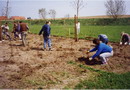 Streuobstwiese 02